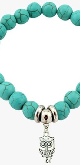 shop-15-20-affordable-zen-owl-turquoise-bracelet-and-many-other-product-series_0.jpg